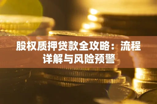 济南股权质押贷款全攻略：流程详解与风险预警