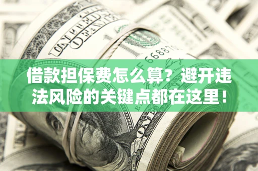济南借款担保费怎么算？避开违法风险的关键点都在这里！