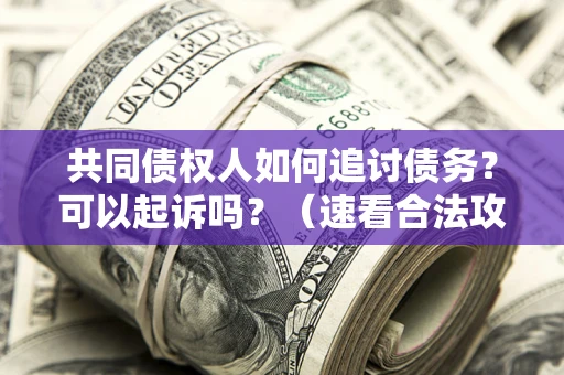 济南共同债权人如何追讨债务？可以起诉吗？（速看合法攻略）