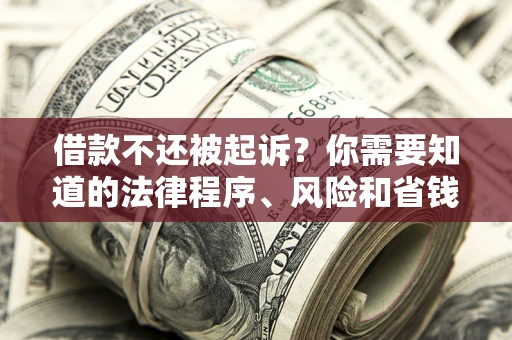 济南借款不还被起诉？你需要知道的法律程序、风险和省钱技巧